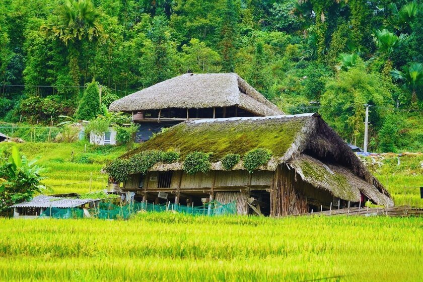 Image gallery